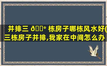 并排三 💮 栋房子哪栋风水好(三栋房子并排,我家在中间怎么办)